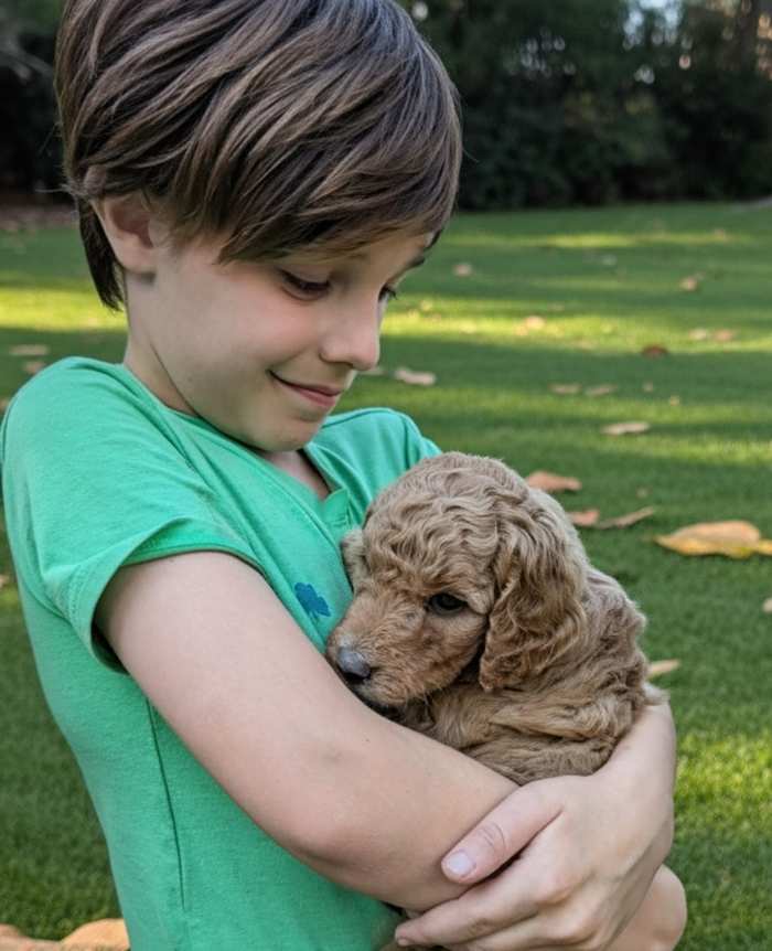 Son with puppy picture