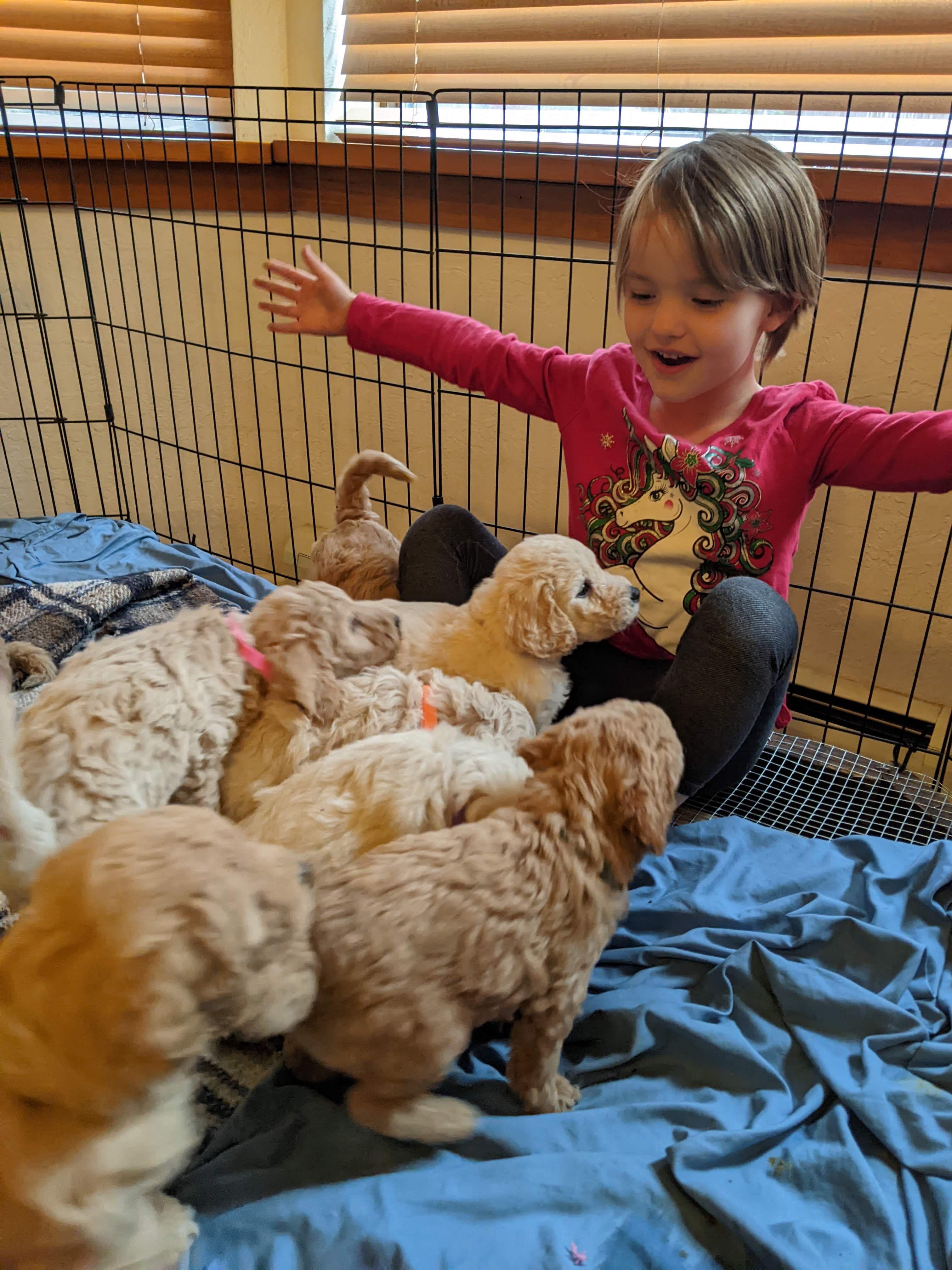 Girl with puppies
